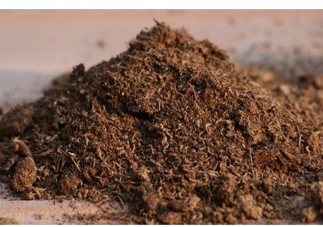 TORBA BIONDA DI SFAGNO FONDO PER TERRARI (2 confezioni da 2 kg)