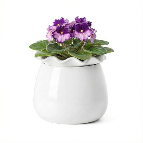 Fayoula Self Watering Plant Pot, 6 Inch African Violet Pots Maintenance, Ceramic Self-Watering Planter for Indoor Plants - Ideal Flower Pot for Thriving Indoor Gardens, White