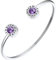 FindChic Armreif Edlestahl Damen mit lila Kristall Zirkonia Luxus Römische Ziffer Armband Geburtsstein Offen Armkette Schmuck für Muttertag Valentinstag Geburtstag Weihnachten
