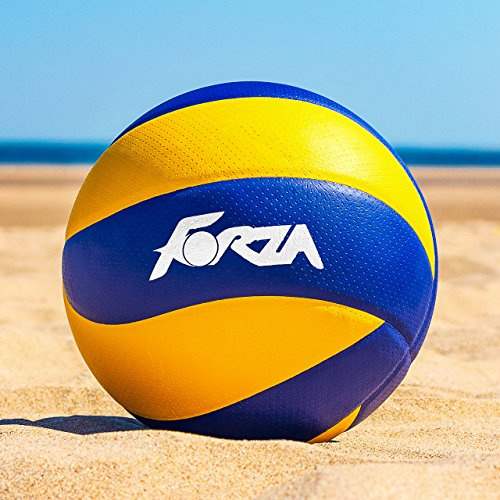 FORZA Volleyballs - Competition & Training Volleyball - FIVB Regulation Volleyball - [Net World Sports] (Competition)
