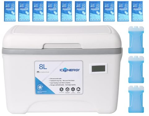 Petite glacière isotherme portable de 8 L avec poignée, affichage de la température, récipient thermique robuste, grande capacité pour jardin, barbecue, camping, sorties à la plage