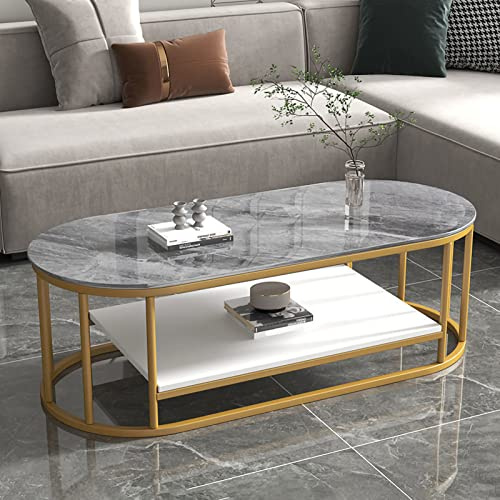 Modern Center Table Living Room Table with Storage Shelf, Oval Coffee Table with Sintered Stone Top & Metal Steel Frame Base Easy Assembly Sofa Table Tea Table for Living Room, Office, Cafe Bar