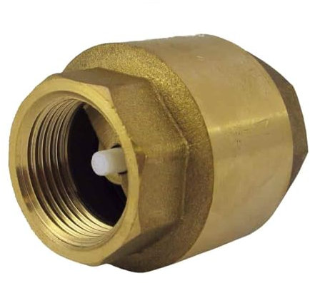 Rückschlagventil m. Feder 2 Zoll