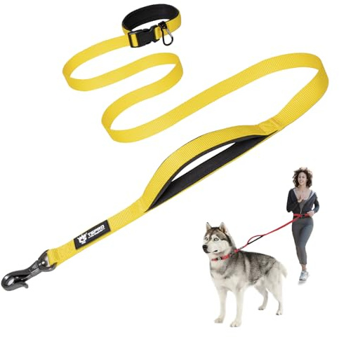 TSPRO Correas Manos Libres para Ajustable Perros Correa para Perros Correa para Caminar y Correr con Mango Acolchado Suave y Hebilla de Metal para Perros de Tamaño Mediano a Grande (Amarillo)