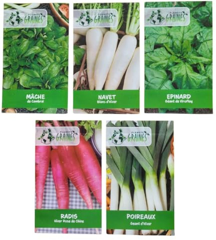 lot de 5 sachets de graines l'essentiel du potager d'automne : mâche, épinard, navet, poireau et radis d'hiver