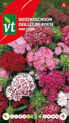 Œillet de poète Mixed Colour Graines - Plante traditionnelle aux coloris variés et harmonieux très appréciée.
