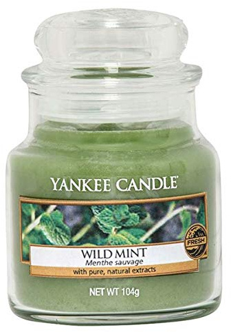 Yankee Candle Wild Mint Jar Candle, Green, Small