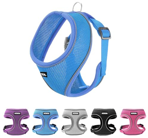 AIITLE Hundegeschirr für mittelgroße Mädchen, Bequeme, verstellbare Netzweste mit Schnellverschluss, reflektierende Sicherheitsstreifen – perfekt für Pudel und Teddys (M, Blau)