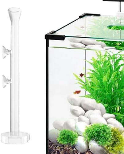 Mbiyhgta Tubo de alimentación para camarones,Tubo Y Plato De Alimentación Para Camarones De Vidrio Claro - Tubo De Alimentación De Camarones Tubo De Alimentación De