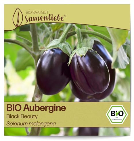 Samenliebe BIO Auberginen Samen alte Sorte Black Beauty Eierfrucht Melanzani violett schwarz 10 Samen samenfestes Gemüse Saatgut für Gewächshaus Freiland und Balkon BIO Gemüsesamen