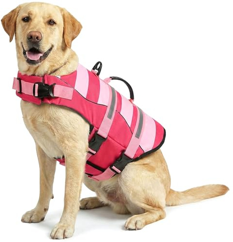ASENKU Giubbotto Salvataggio per Cane, Salvagente per Cani Taglia Grande XL, Galleggiante per Cani ad Alta Visibilità con Maniglia per Sicurezza in Acqua, Spiaggia e Barca