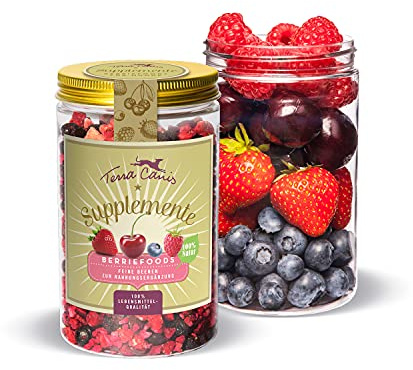 Terra Canis Supplementi – Berriefoods, 50 g I Integratore alimentare naturale