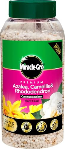 Miracle-Gro Azalea, Camellia & Rhododendron Continuous Release Plant Food 900g | Feeds Up to 6 Months | Ideal for Acid-Loving Plants, Shrubs & Ericaceous Garden Beds