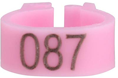 Anillos para Patas de Aves, Resistentes y Reutilizables, Bandas plásticas para Pollos Patos y gallinas, for cría avícola, identificación y Control Sanitario