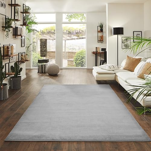 Jimri Alfombra mullida de Pelo Corto de para el hogar, Oficina, Cocina, Entrada, Pasillo, Sala de Estar, Lavable a máquina, Antideslizante, Lavable - Plateado, 160 x 220 cm