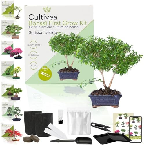 CULTIVEA® Kit First Bonsai- Kit de première culture de Bonsaï – Prêt à Pousser avec Graines & Accessoires – Idée Cadeau Jardinage | Made In France (Serissa Foetida)