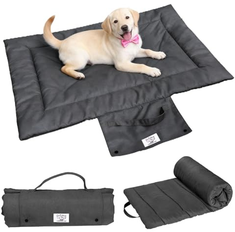 Jinfanshurich Hundtäcke för resor – 100 × 72 cm hundfilt bärbar & vikbar, mjuk husdjurstäcke för hundar och katter, tvättbar, resehundfilt för soffa, bil och utomhus (M)