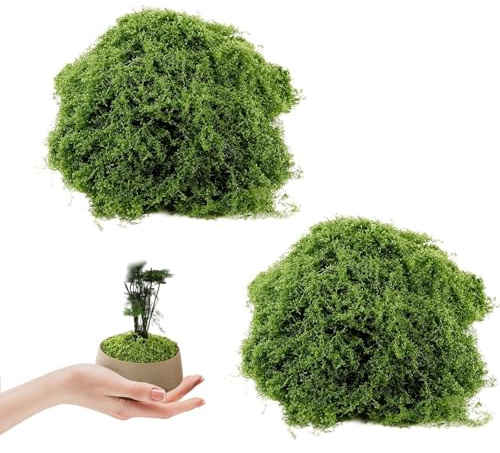 HJ-fuzhou 100 g de musgo artificial para decorar, musgo artificial para manualidades, musgo artificial para decorar musgo islandés para decoración de jardín en miniatura, maceta, terraza, césped
