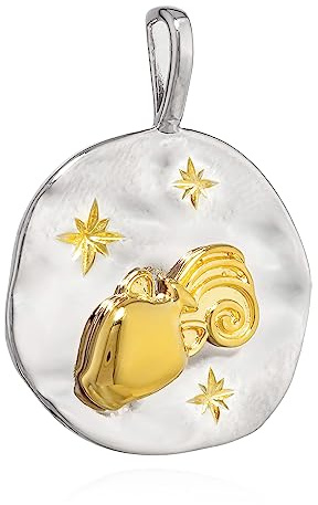 NKlaus 17mm Kettenanhänger Sternzeichen Wassermann 925 Silber Zodiac gold weiß Amulett 13982