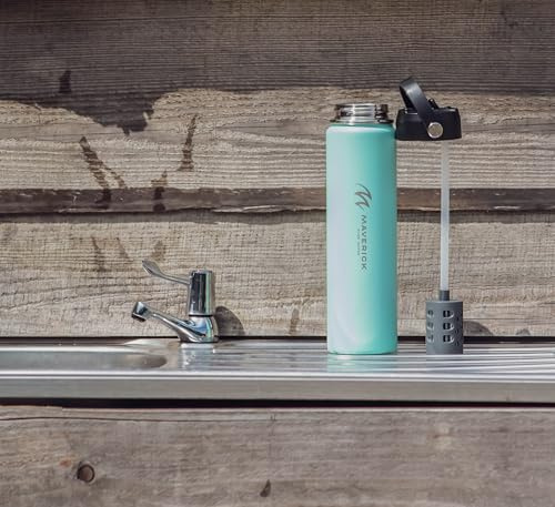 Maverick Pure Water Stainless Steel Water Bottle with Filter, 450 Litres Capacity, Nano-Filtration Technology