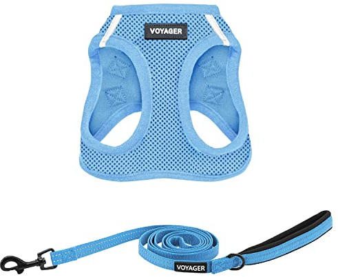 Best Pet Supplies Voyager Step-in Air All Weather Mesh Harness and Reflective Dog 5 ft Leash Combo with Neoprene Handle, for Small, Medium and Large Breed Puppies - Set (Baby Blue), S