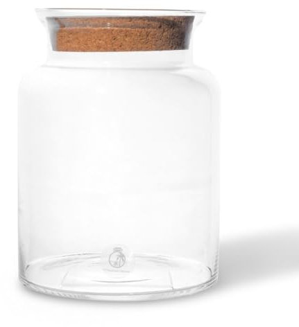 25cm Closed Glass Terrarium - Handmade Glass Container for Plants, Herbs, Succulents - Includes Cork Lid for Sealed Moisture - For Home Decor and Mini Gardens (with Standard Lid)