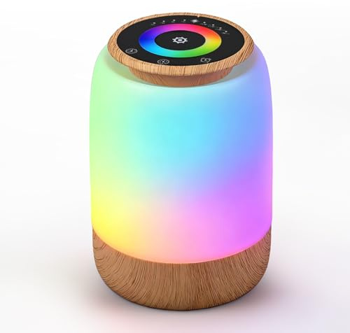 Carehabi Lamparas de Mesita de Noche, Lampara Mesita Noche, Ajuste Continuo de 256 Colores RGB, 4 Modos, 4 Niveles de Brillo, Recargable, Temporizador y Función de Cuenta Atrás