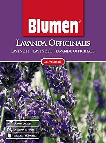 Blumen Semi di LAVANDA OFFICINALIS