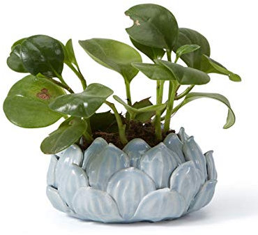 SEINHIJO Blumentöpfe Pflanzen Keramik Arts Skulptur Modern Dekor Blume Geschenk Statue Wohnzimmer Kunst Ornament Blau 18cm