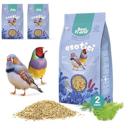 Best Friend Aliment Complet pour Oiseaux Exotiques avec graines de chicorée, laitue et fenouil, Lot de 2 Paquets. Alimentation pour Oiseaux avec ingrédients naturels, qualité 100% fabriquée en Italie