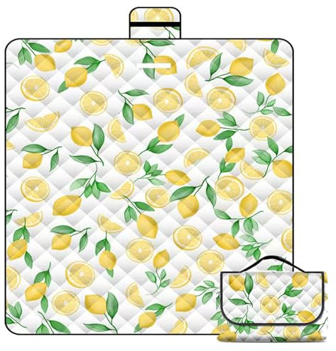 WLHFDC Picknickdecke Wasserdicht 200 x 200 cm,Waschbar Wasserdicht Stranddecke für 4-6 Personen,Leicht und Tragbar Campingdecke mit Tragegriff,Outdoor Campingdecke für Reisen,BBQ,Picknick,Wandern