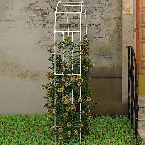 Treillis d'arche de jardin en métal blanc pour plantes grimpantes - Treillage pour vignes - Arche de ballons pour décoration de jardin - 150 cm de hauteur
