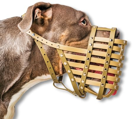 Dog Muzzle for Medium to XL Dogs – Adjustable, Comfortable & Durable Biothane Design with Stainless Steel Fixings – Waterproof, Lightweight & Soft Fit by Happy Muzzle Co. (Olive, Size Woof)