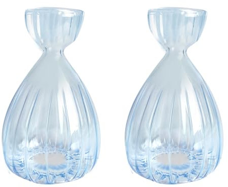 luolety Lot de 2 vases hydroponiques en verre pour semences d'avocat, pots de fleurs pour plantes d'avocat, kit de culture d'avocat, vases hydroponiques en verre pour les amateurs de jardinage (bleu)