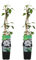 Bloomique - 2er-Set - Clematis Miss Bateman - Waldrebe - Weiß - Kletterpflanzen - Gartenpflanzen - Winterhart - Topf 15 cm - 70-80 cm hoch