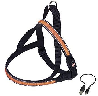 Nobby Stoviglie Norvegesi Flash Mesh, Arancione S: L: 50-65 cm + 48 cm, Larghezza: 25 mm, 1 Pezzo