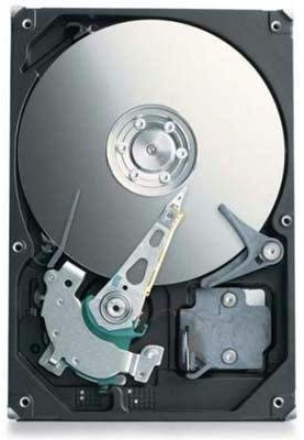 Seagate Festplatte Externer Barracuda 7200.11 500 GB (Generalüberholt)