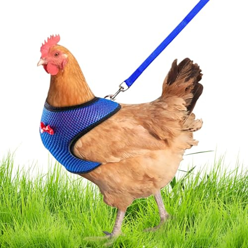 Harnais pour Poules avec Corde Harnais Respiratoire Corde de Traction