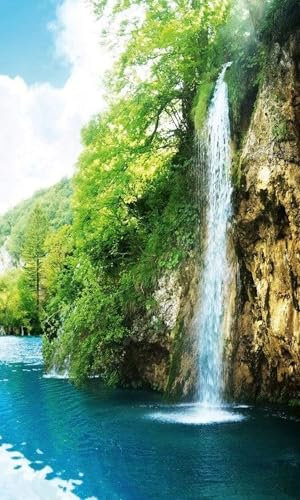 Vlies Fototapete ENTSPANNUNG IM WALD 150 x 250 cm | Vliestapete - Wandtapete inklusive Kleister | PREMIUM VLIES QUALITÄT