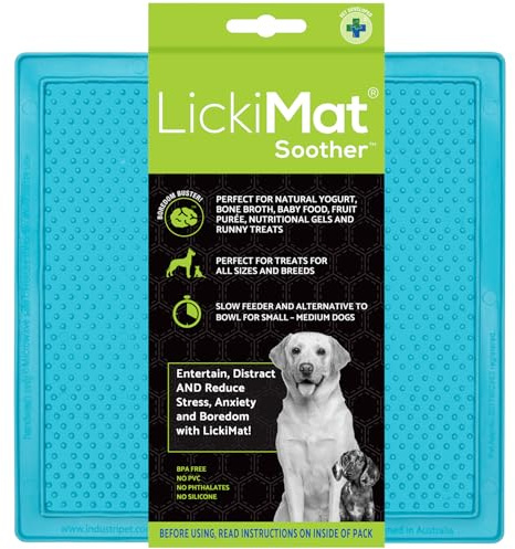 Lickimat Schnuller Hund türkis