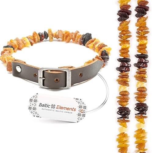 Collana in ambra per cani e gatti – Collare in ambra regolabile – Collare in ambra per cani e gatti grandi e piccoli (28-30 cm)