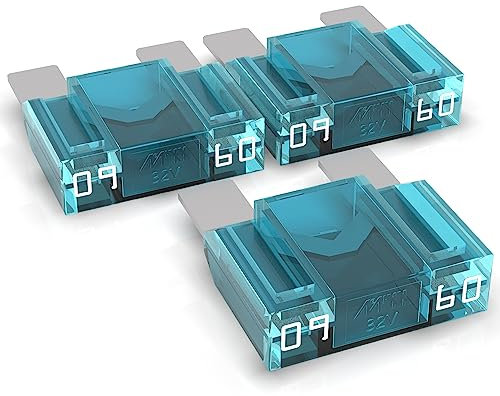 AUPROTEC Maxi Flachstecksicherung 20A - 80A Stecksicherung Schmelzsicherung Auswahl: 60A Ampere blau, 3 Stück