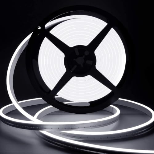 Lamomo Outdoor LED Strip Light 5m,6000K Waterproof Silicone Flexible LED Neon Rope Strips,12V Dimmable White Strip Lights for Kitchen Bedroom Garden Outdoor Indoor Decoration (Power Adapter Included)