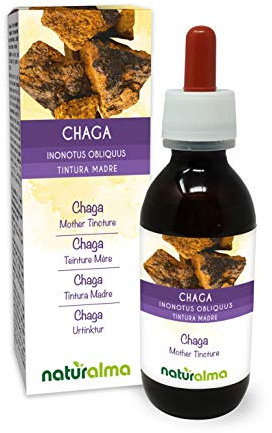 Chaga ou Polypore oblique (Inonotus obliquus) champignon Teinture Mère sans alcool Naturalma - Extrait liquide gouttes 120 ml - Complément alimentaire - Végétalien ou végan