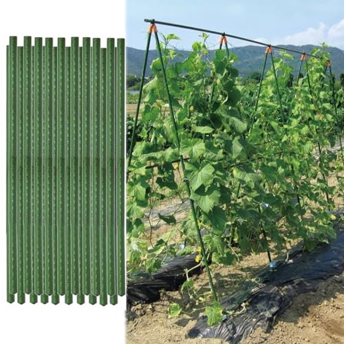 Estacas para enrejado de jardín Paquete de 10 20 25 34 50 Espaldera de soporte para plantas de jardín, Espaldera de pepino para arriates elevados Postes de soporte, Vides Flores Vegetales Enrejado de