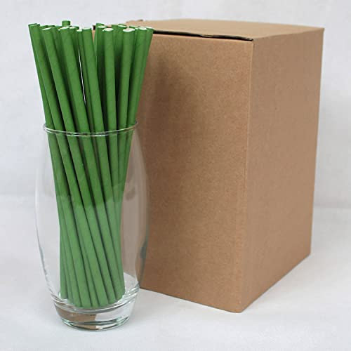 Green Paper Straws (6mm x 200mm) - Pack Size 500 - FSC Certified/Food Safe/PFAS Free/Biodegradable/Eco-Friendly/Durable/Suitable for All Occasions