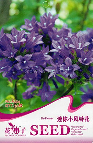 Piante da giardino blu A254 dei Fiori di Campanula dei semi di Mini Wind Bells
