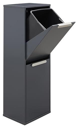 Arregui Ecoclas CR204-E Cubo de Basura y Reciclaje de Acero de 2 Compartimentos | 2x17L (34L) | Cubos de Basura de Cocina | Contenedores de Reciclaje para Casa u Oficina | antracita