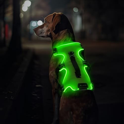 Jewyow Arnés para Perro Iluminado, Reflectante, para Perros Medianos y Grandes, Arnés LED Recargable con 4 Correas Ajustables, 3 Modos, Impermeable para Caminar por la Noche, Lluvia, Verde-XL