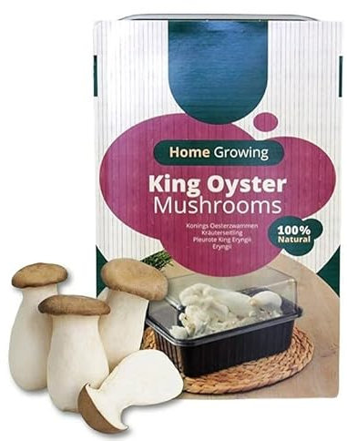 Carbeth Plants - Mushroom Growing Kit King Oyster - Beginner Friendly Ready to Grow Educational Kit - Easy to Use Gardening Gift - Grow Your Own Tasty Produce for Cooking